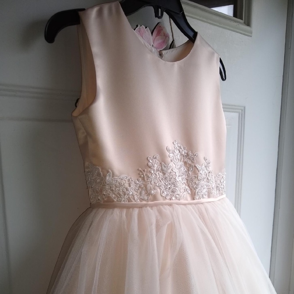 Joan Calabrese 219301 - Flower Girl / Communion Dress (New! Never Worn)
